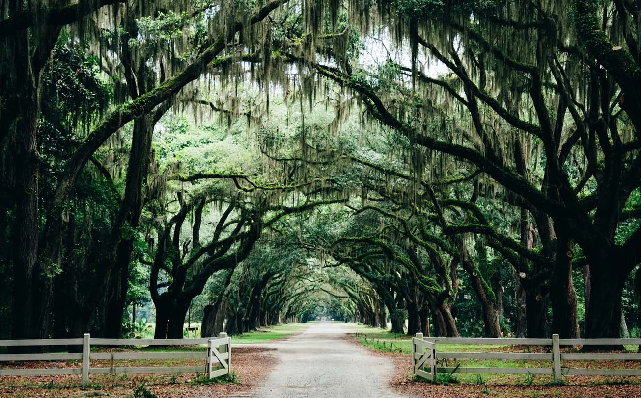 Savannah Travel Tips: Hacks and Advice for a Seamless Journey