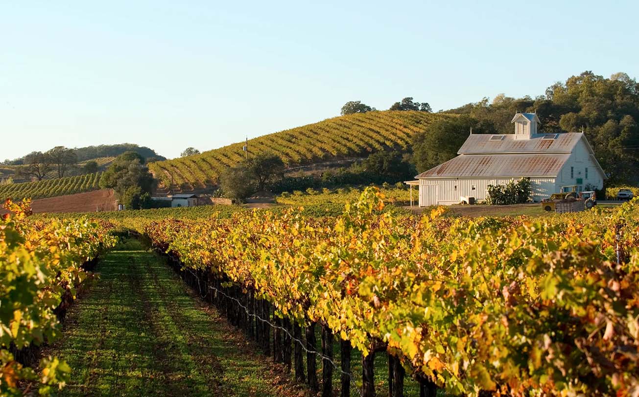 Napa Valley Wine Country: Savoring the Beauty of Wine Country