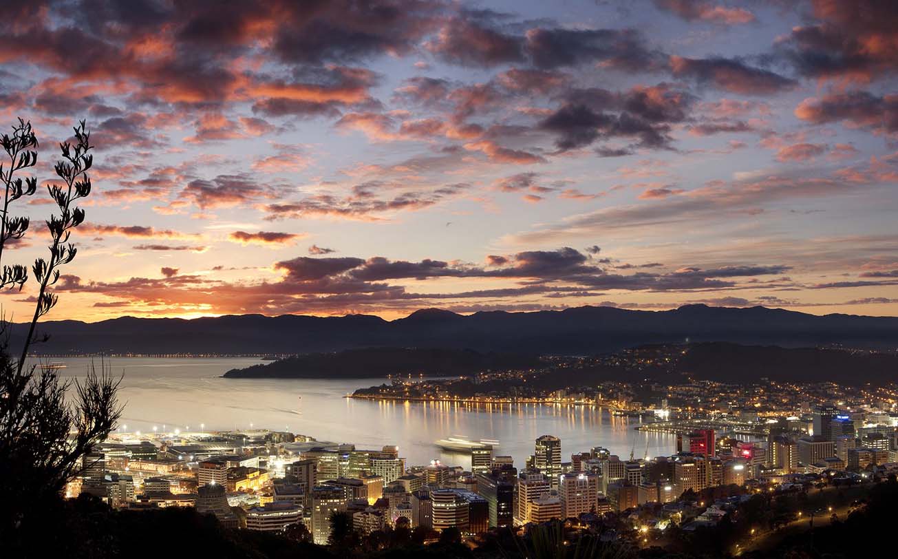 A Literary Expedition: Cultural and Artistic Havens in Wellington