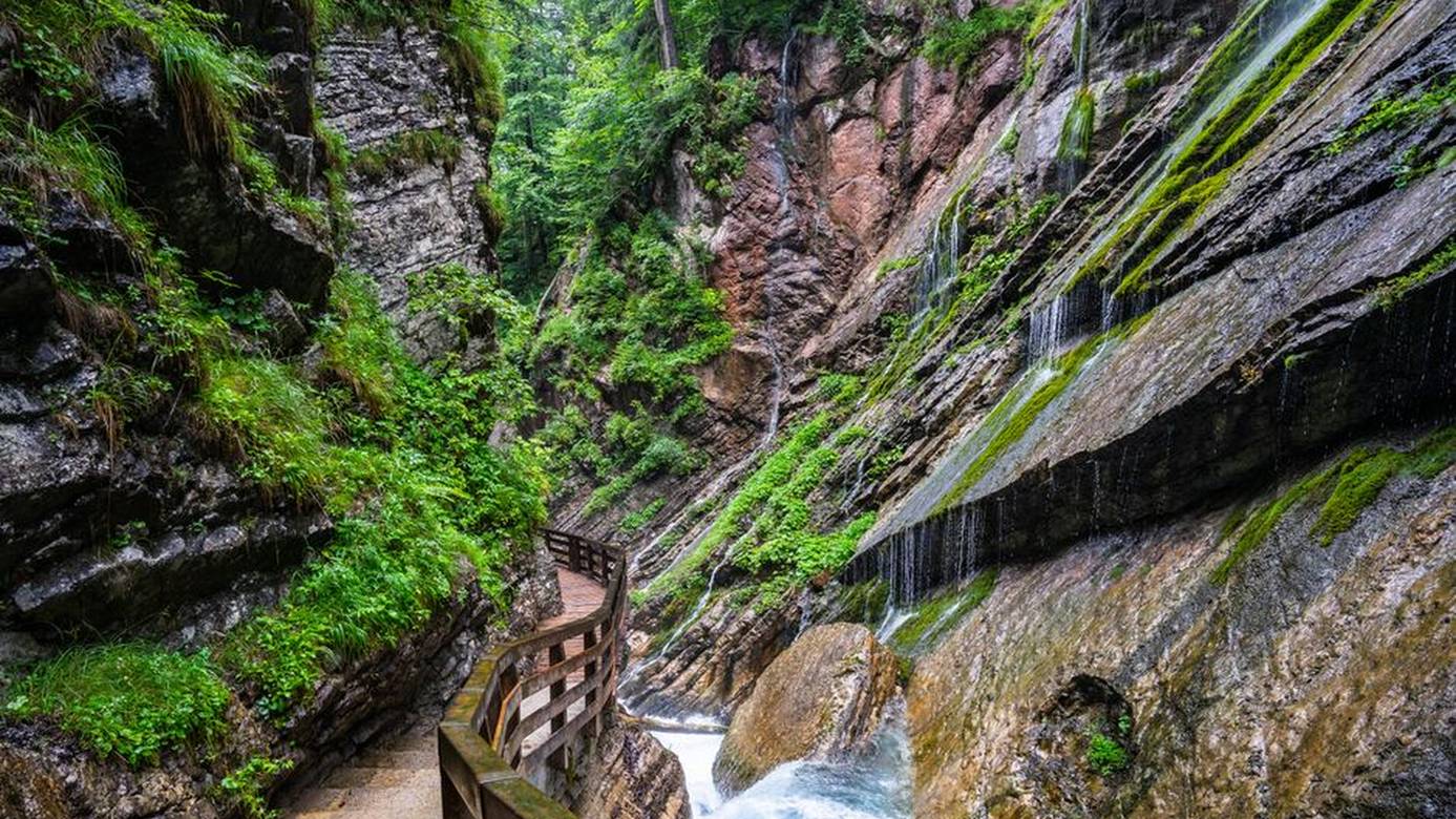 jungle walkway metal bridge waterfall mist tropica